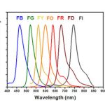 Fluorescent-Polystyrene-Microspheres